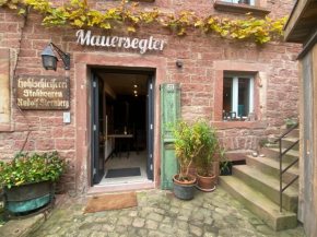 Mauersegler